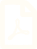 PDF Icon